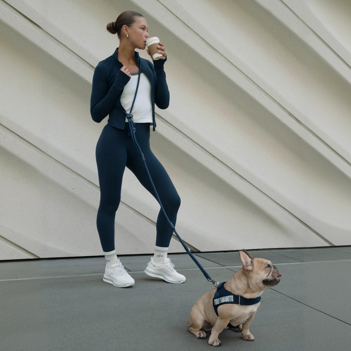 Premium Navy Blue hands-free dog leash showing the full leash, adjustable strap and reinforced clip.
