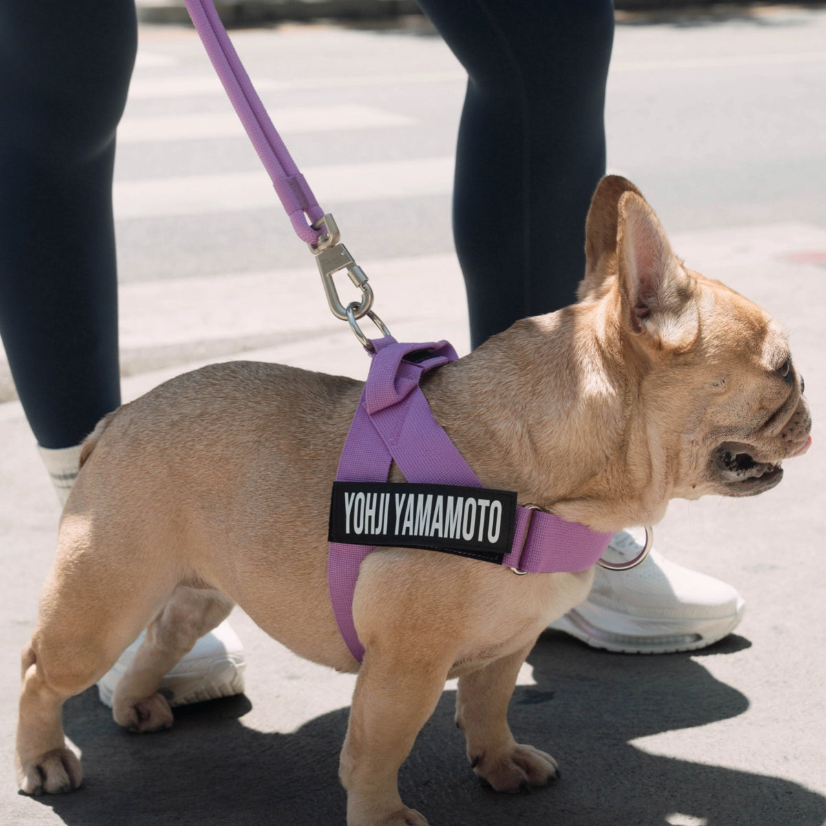 Hands Free Leash - Influencer Exclusive