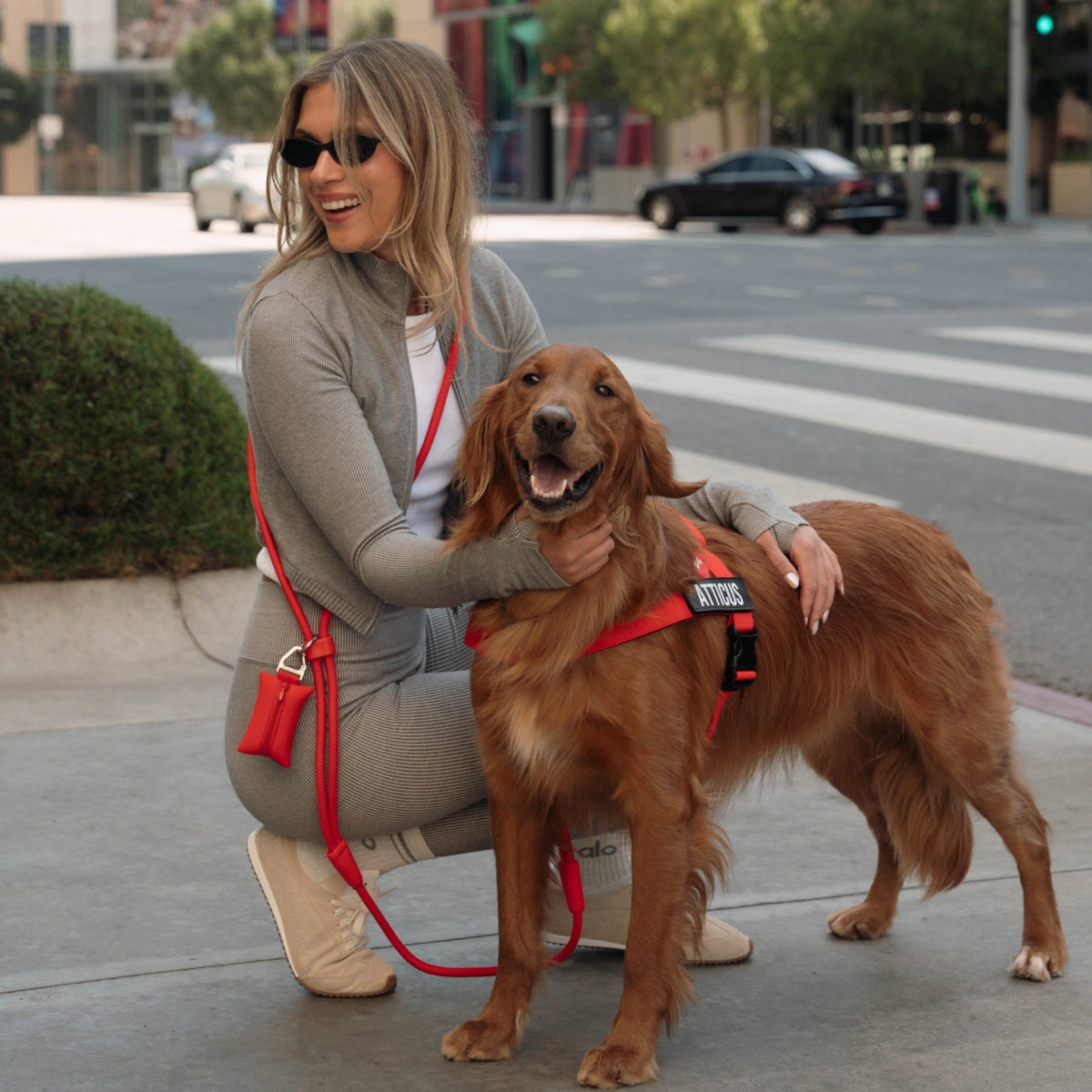 Hands Free Leash - Influencer Exclusive