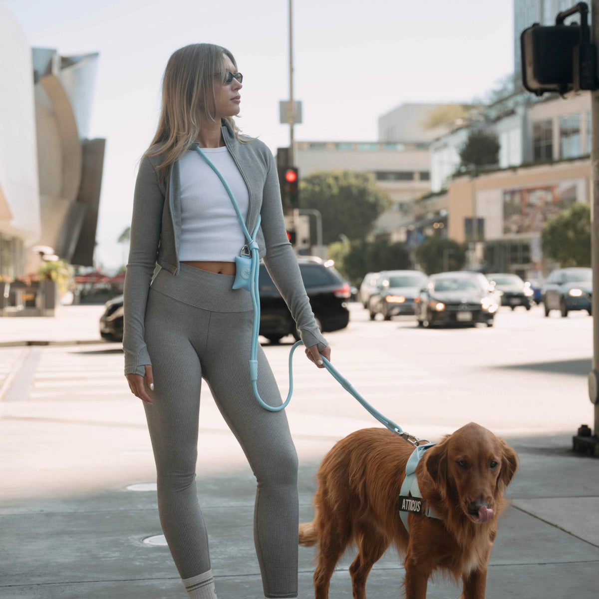 Hands Free Leash - Influencer Exclusive