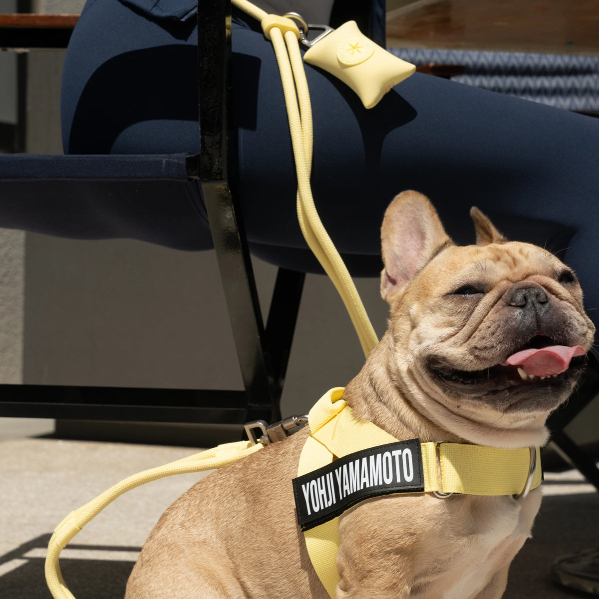 Dog owner wearing the Yellow hands-free leash around the waist or across the body while sitting with a dog.