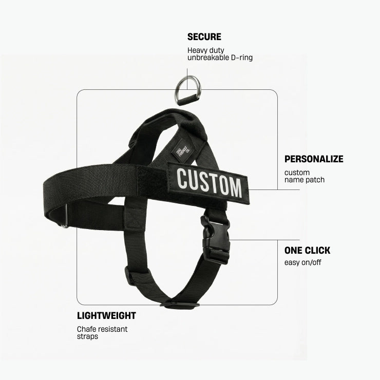 Signature Kit + D-Ring + Free Poop Bag Holder + Free Poop Bags + Tennis Ball - Black