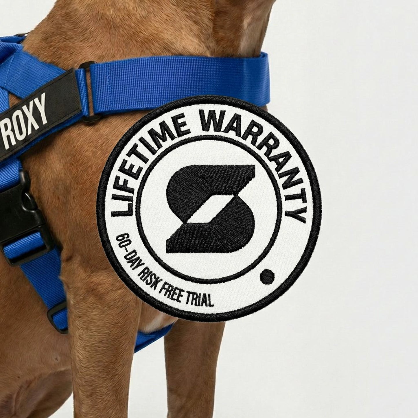 Hundegeschirr