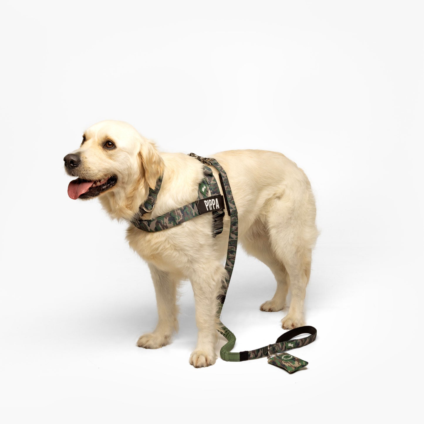 Hundegeschirr