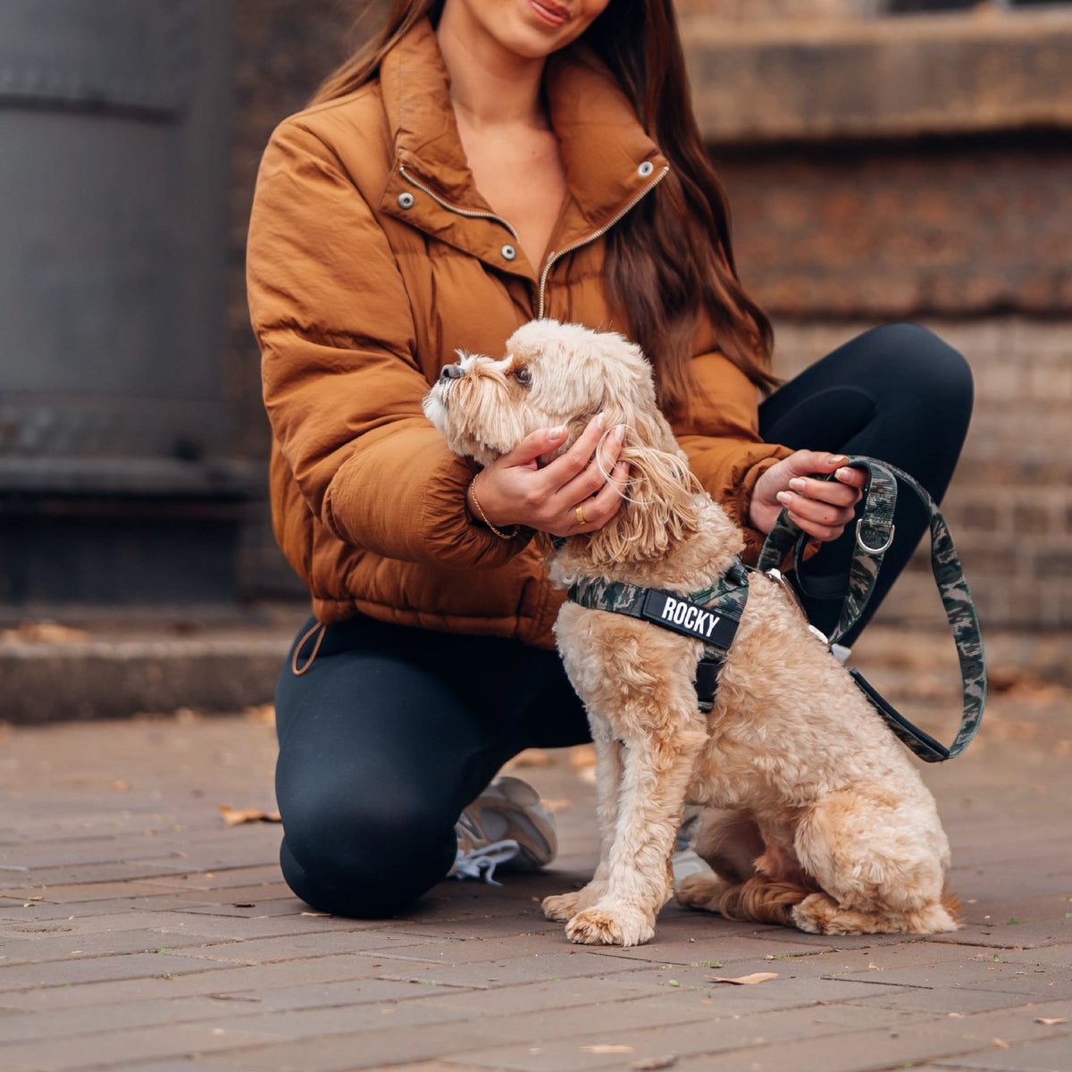 Hundegeschirr
