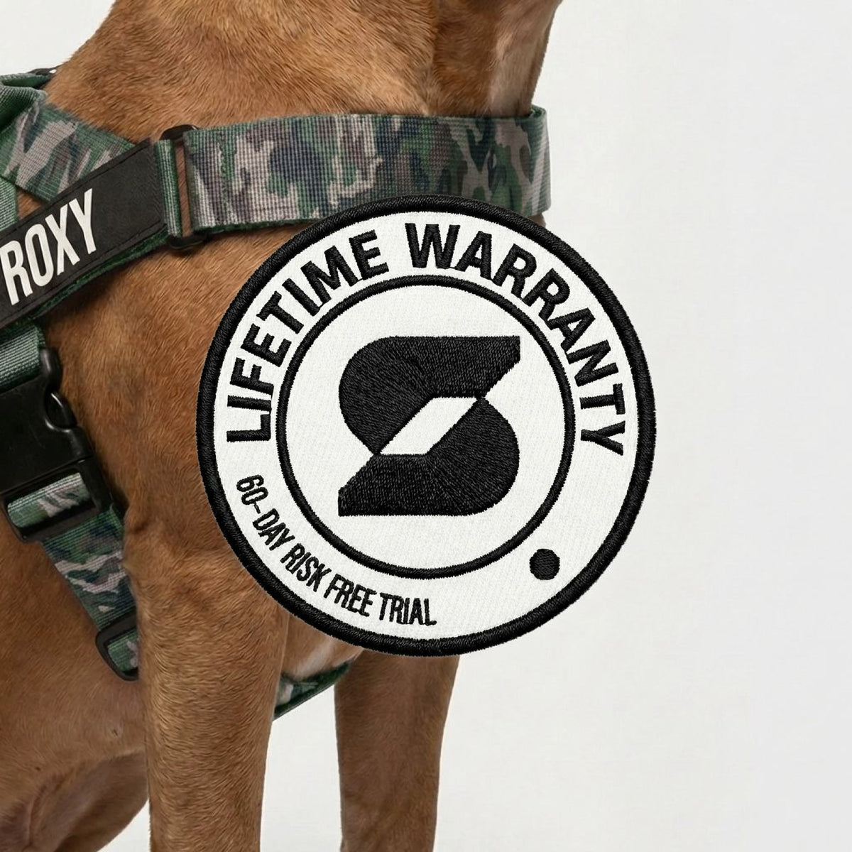 Hundegeschirr