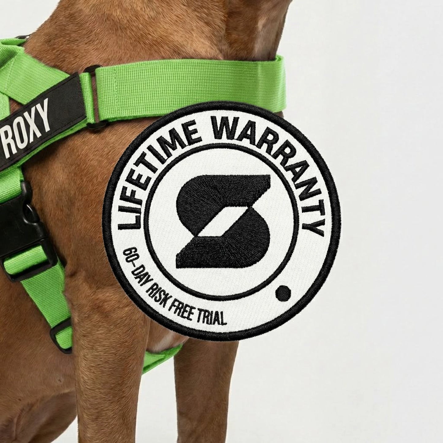 Hundegeschirr