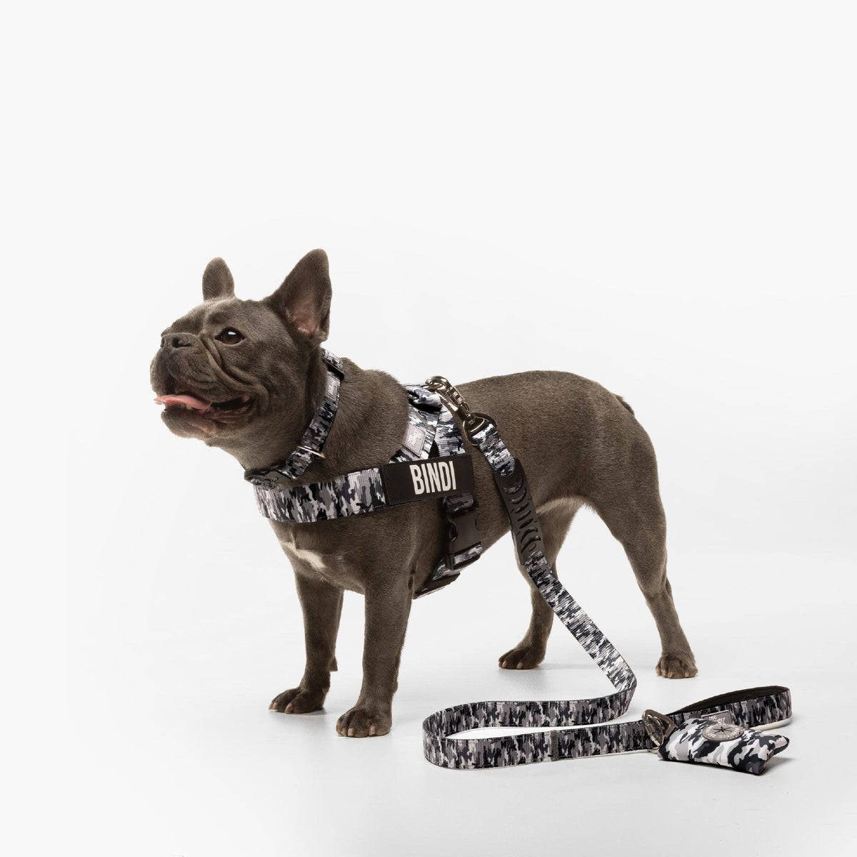 Hundegeschirr