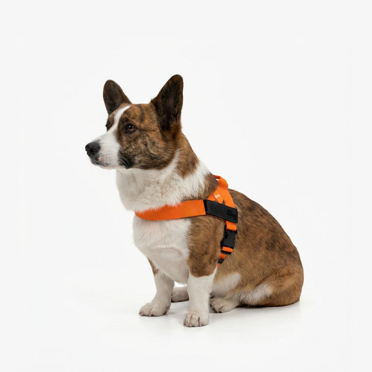 Hundegeschirr