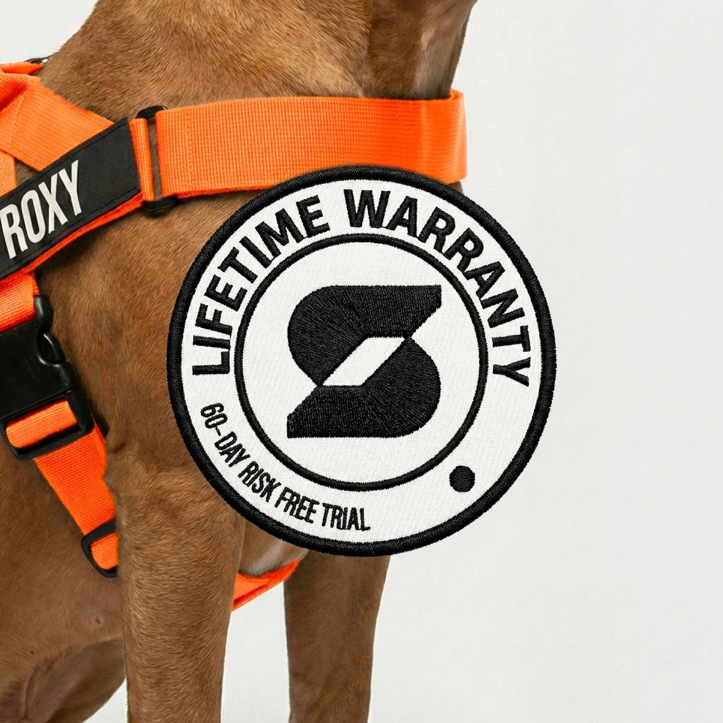 Hundegeschirr
