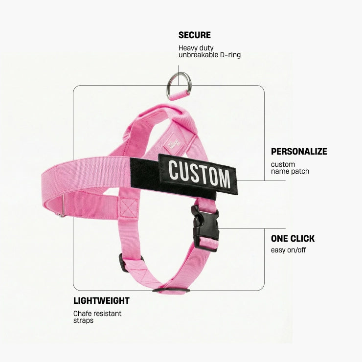 Personalisiertes Hundegeschirr - Rosa