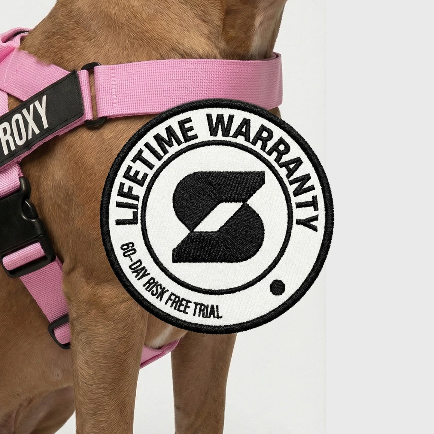 Hundegeschirr