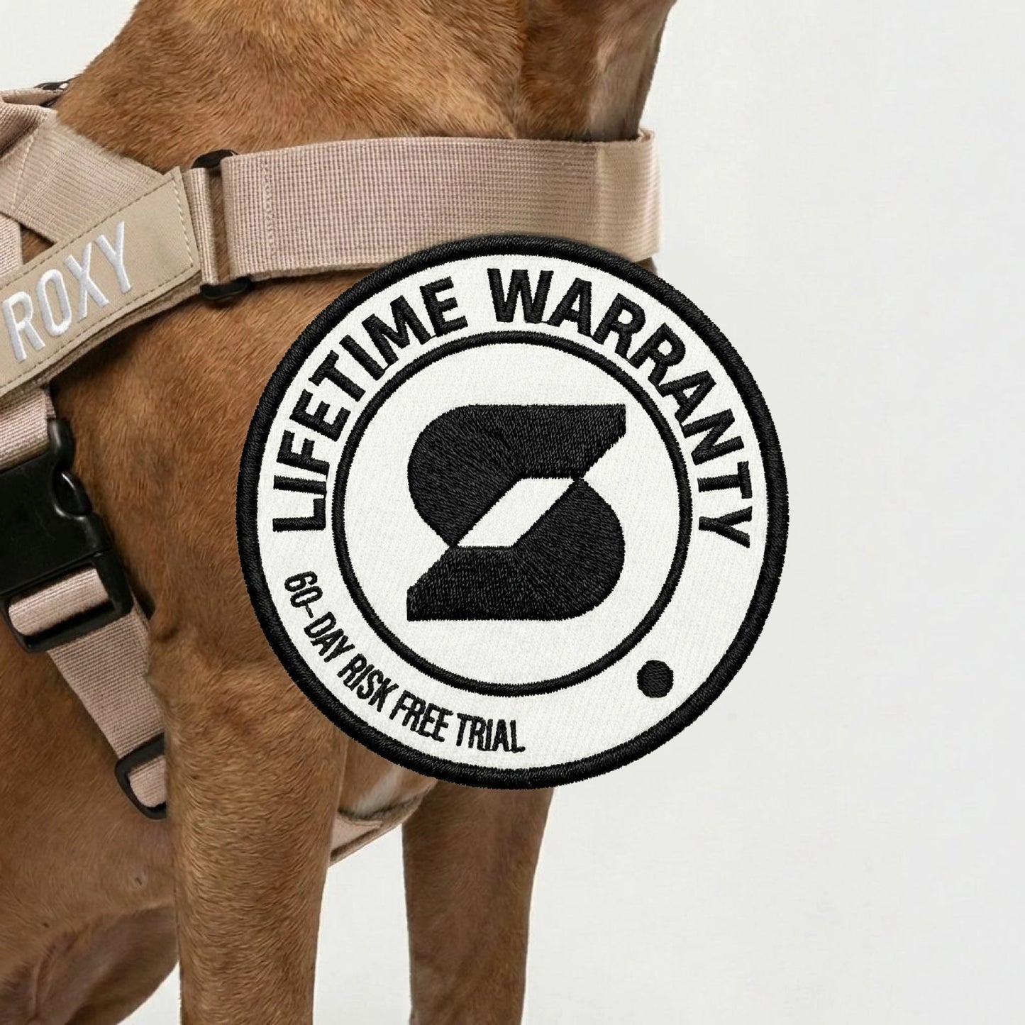 Hundegeschirr