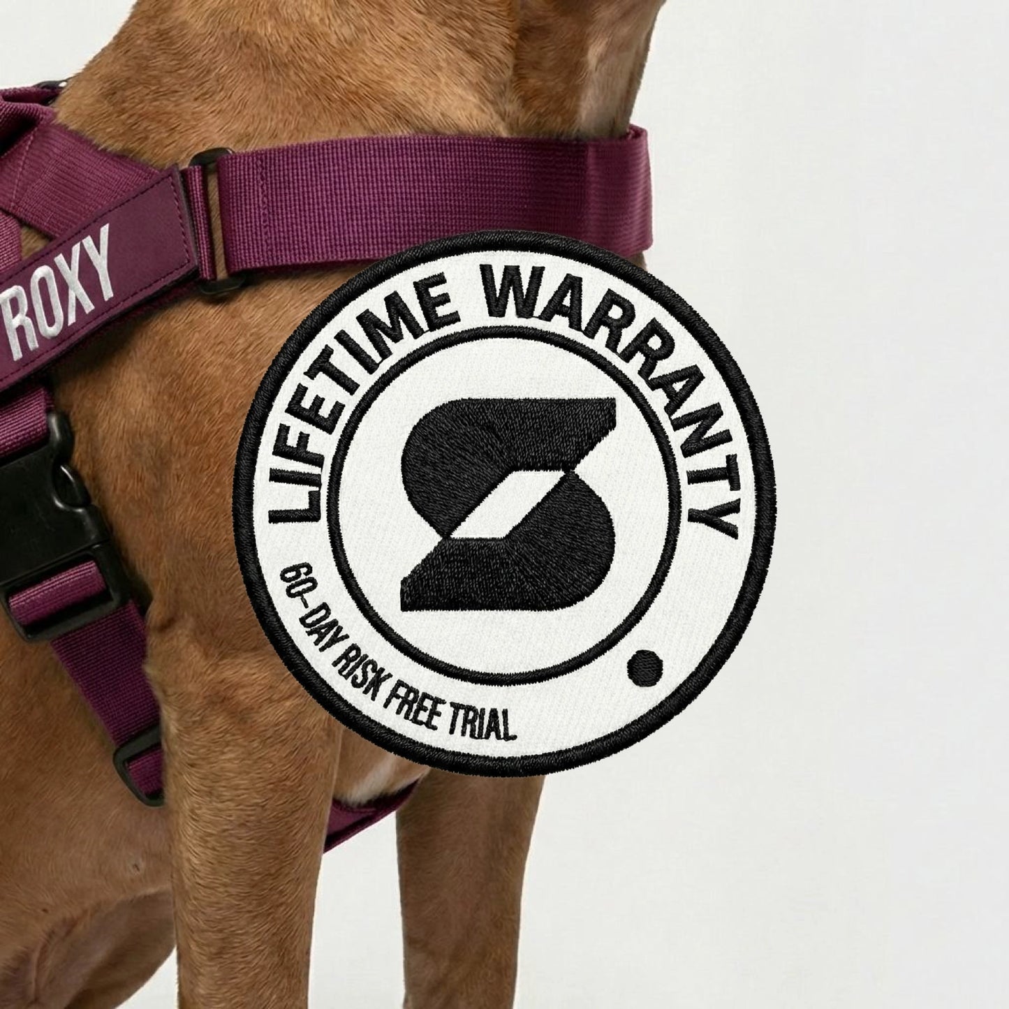 Hundegeschirr
