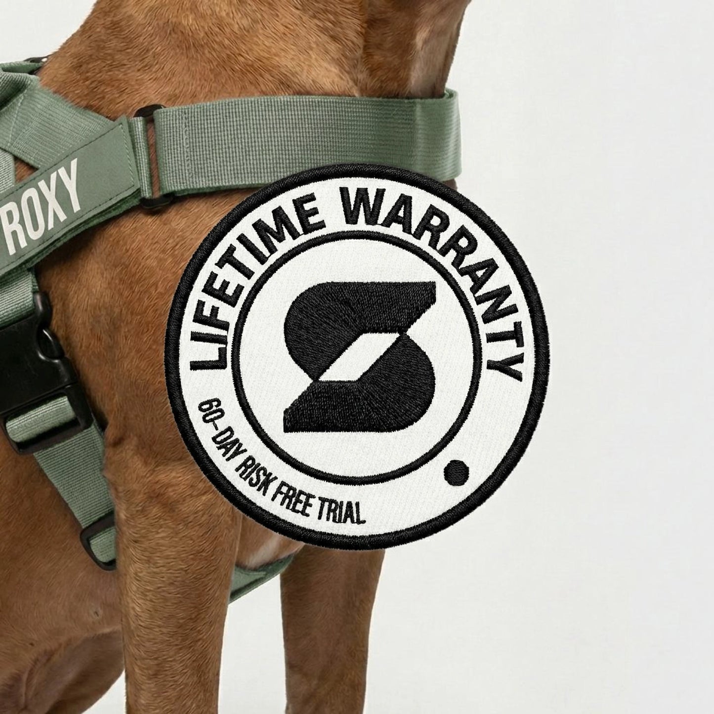 Hundegeschirr
