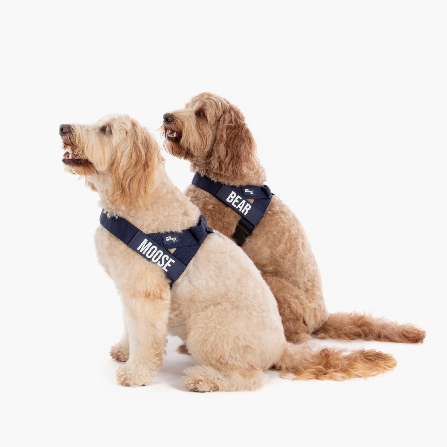 Hundegeschirr