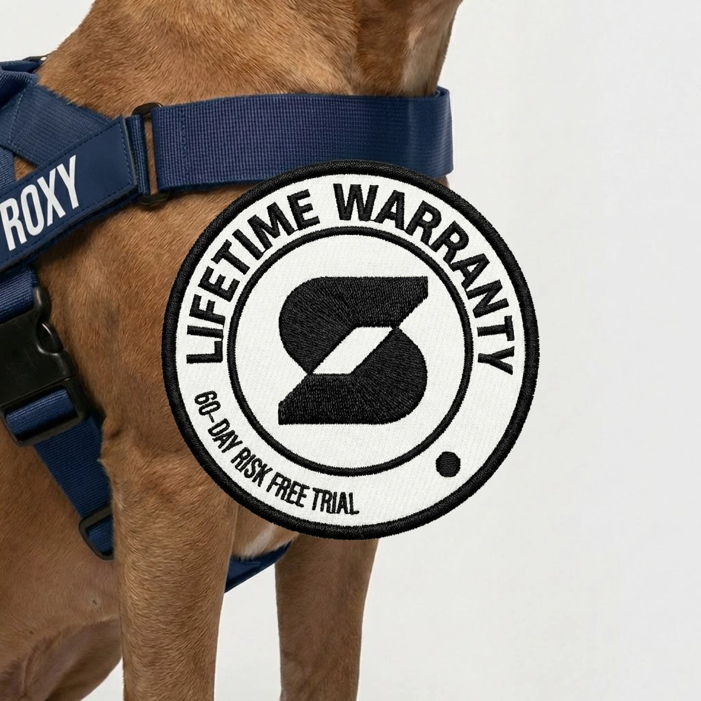Hundegeschirr
