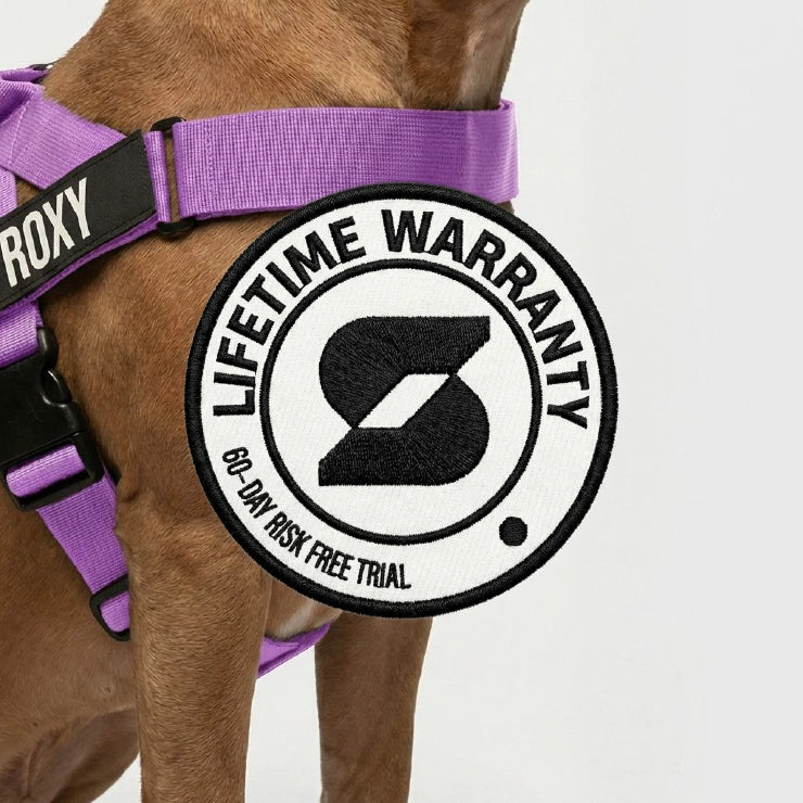 Hundegeschirr - Lila