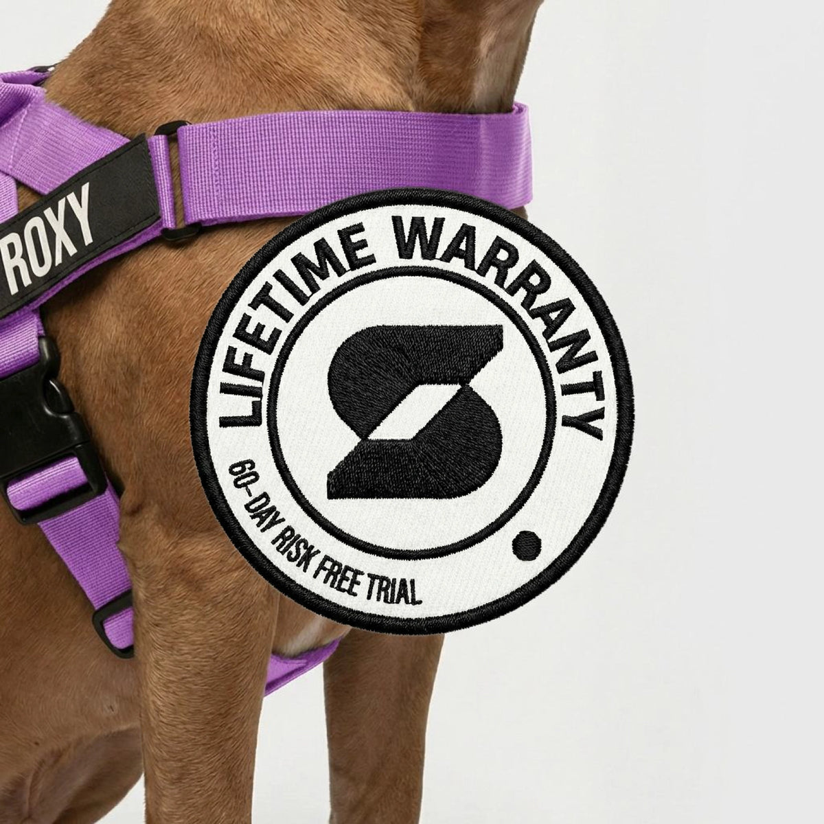 Hundegeschirr