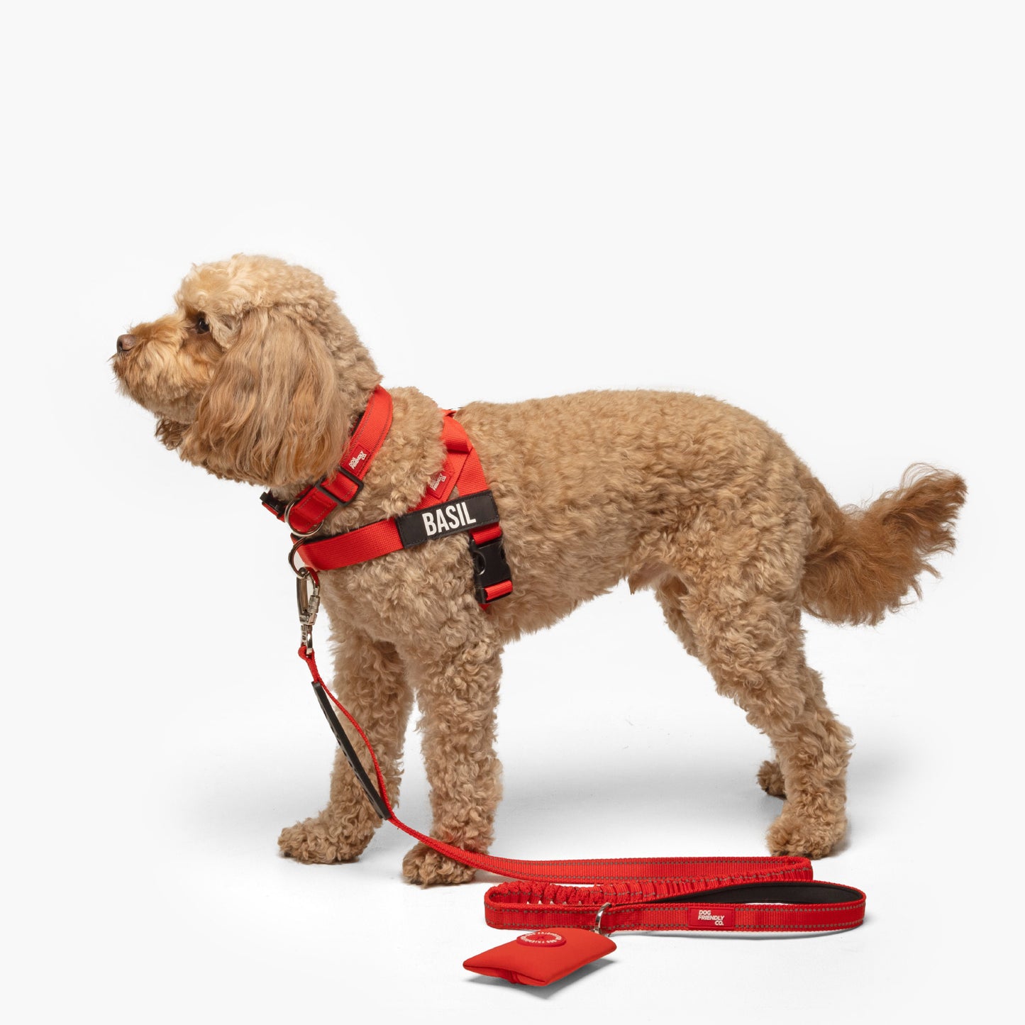 Hundegeschirr