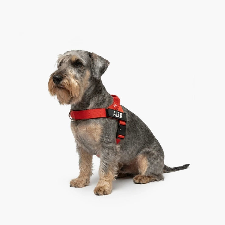 Personalisiertes Hundegeschirr - Rot