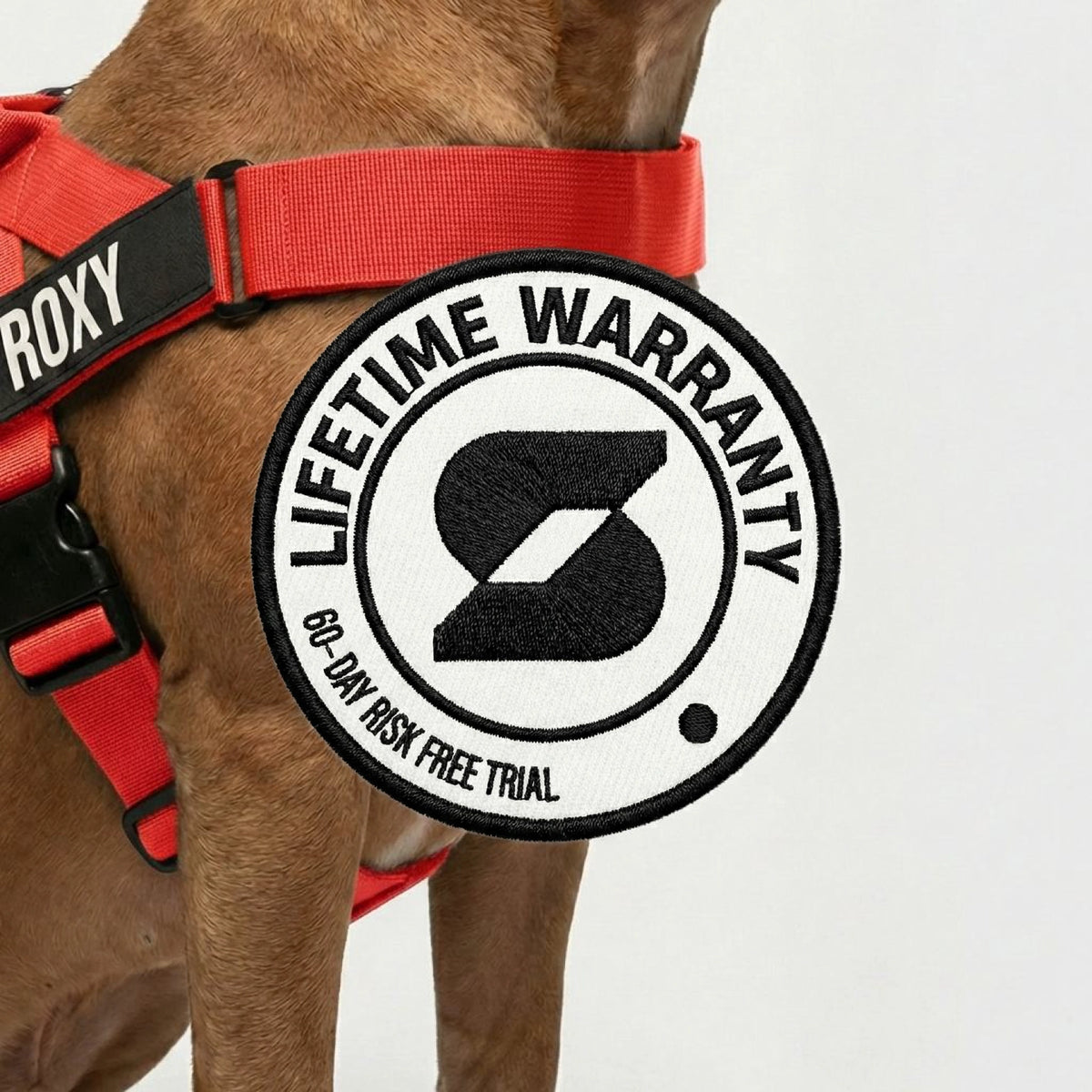 Hundegeschirr