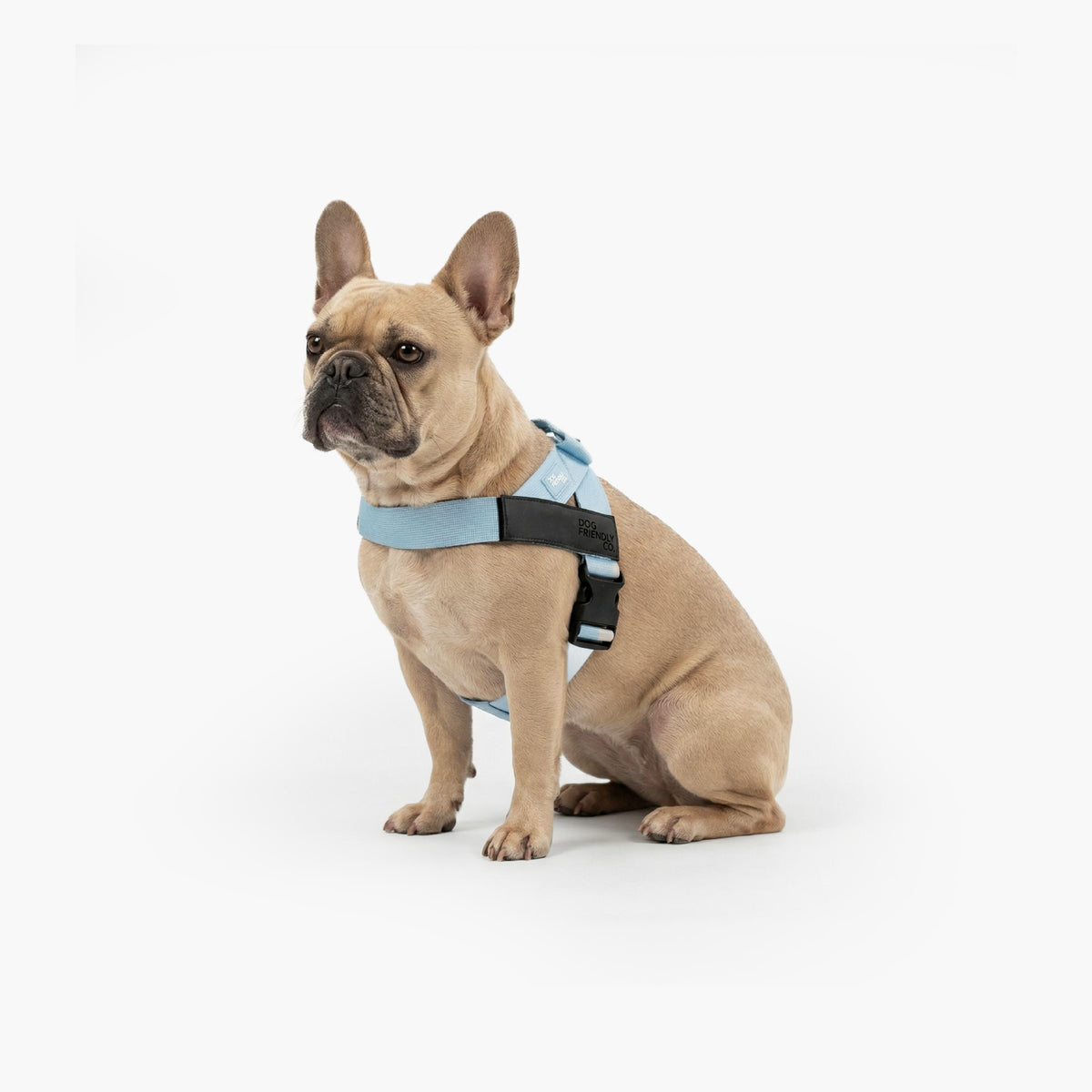 Hundegeschirr