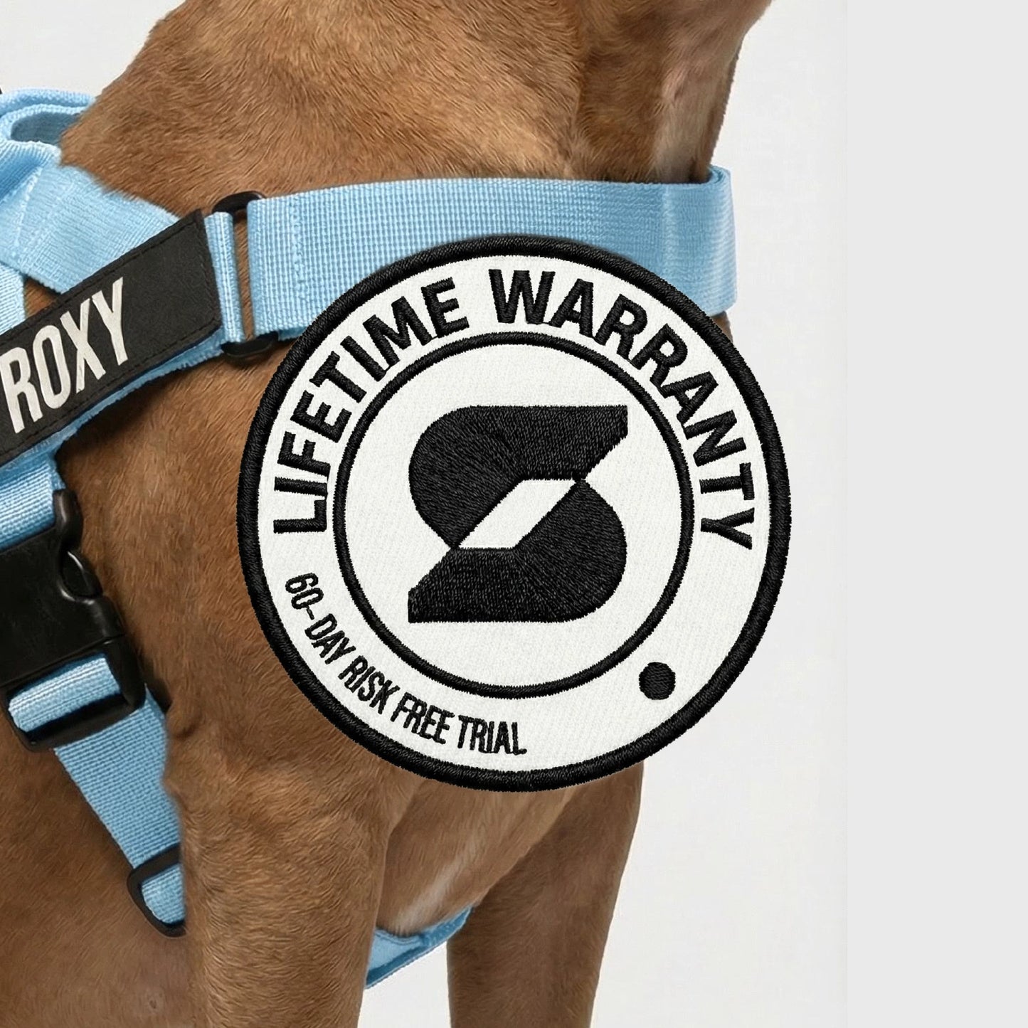 Hundegeschirr