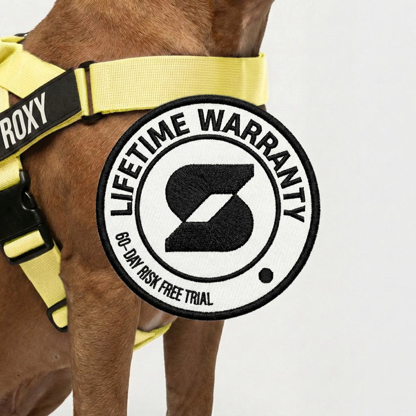 Hundegeschirr