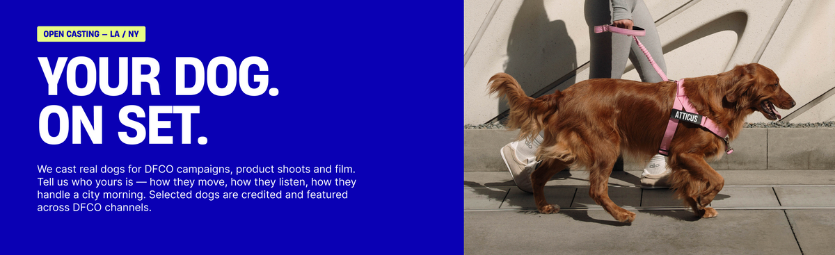 Your dog. On set.