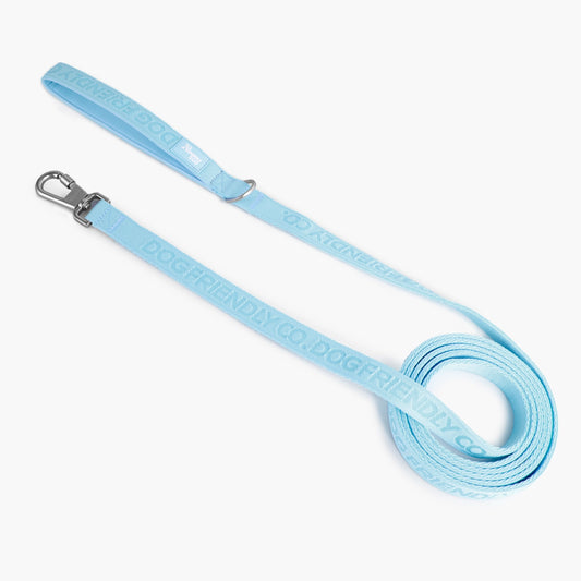 Lange Hundeleine – Himmelblau 