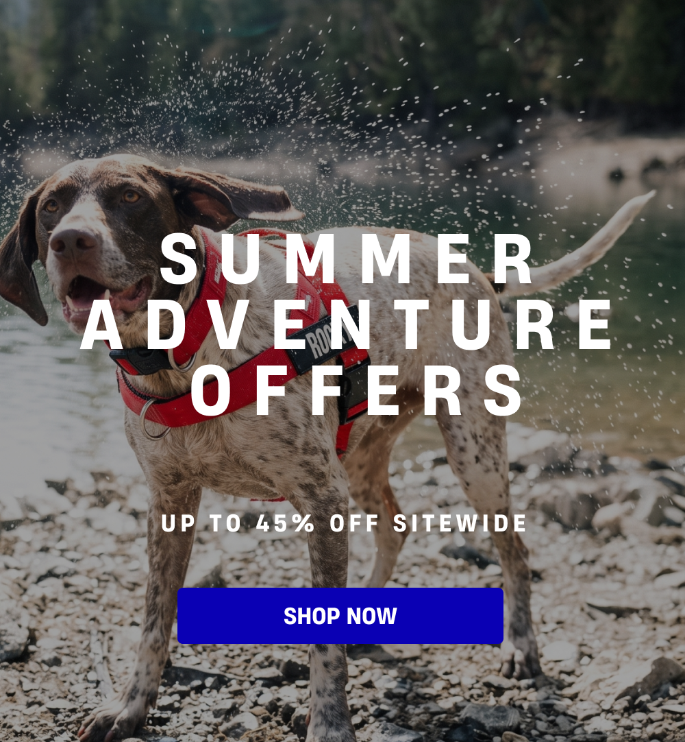 Summer Adventure Offers - 45% OFF