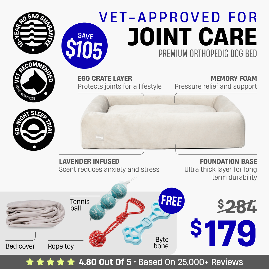 Premium Orthopedic Dog Bed + FREE Bed Cover & Pack Of Toys