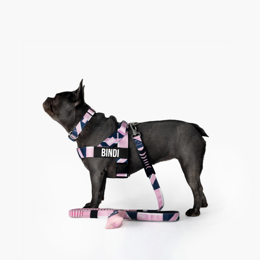 Taktisches Hundehalsband - Limitierte Auflage Pink