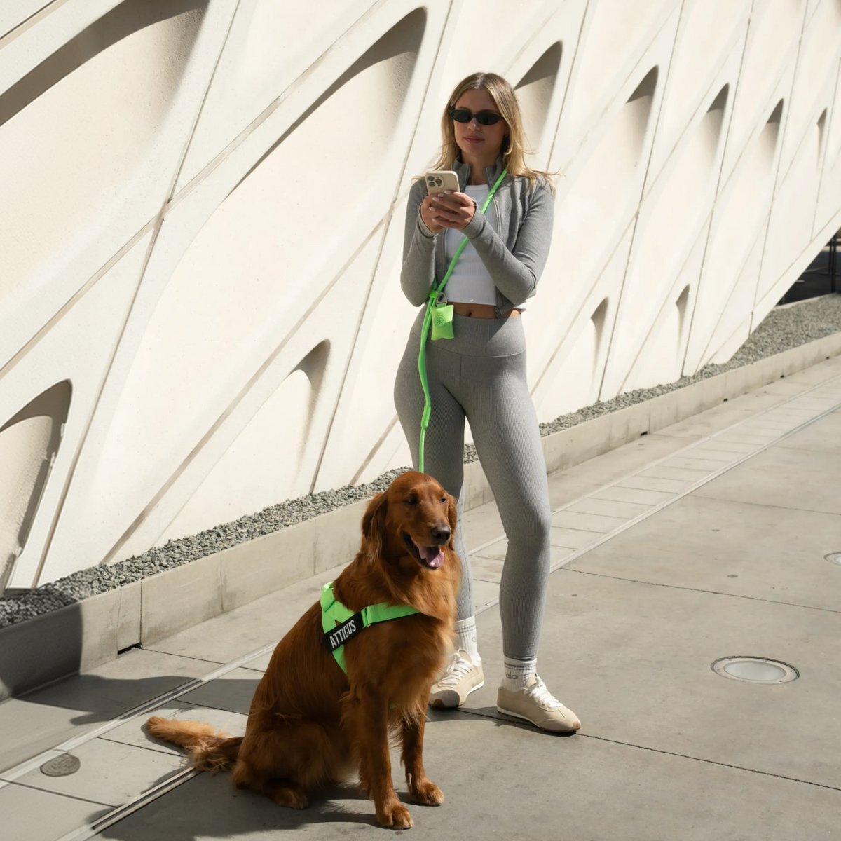 Hundekotbeutelhalter - Neon Grün