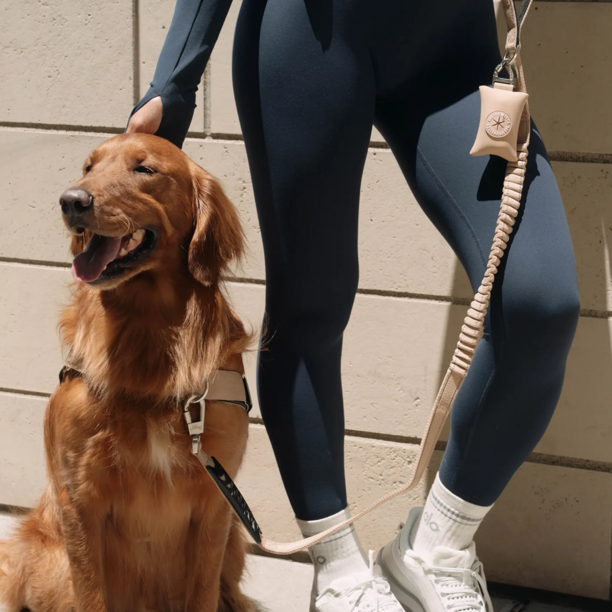 Brown poop bag holder clipped to a dog leash during a walk