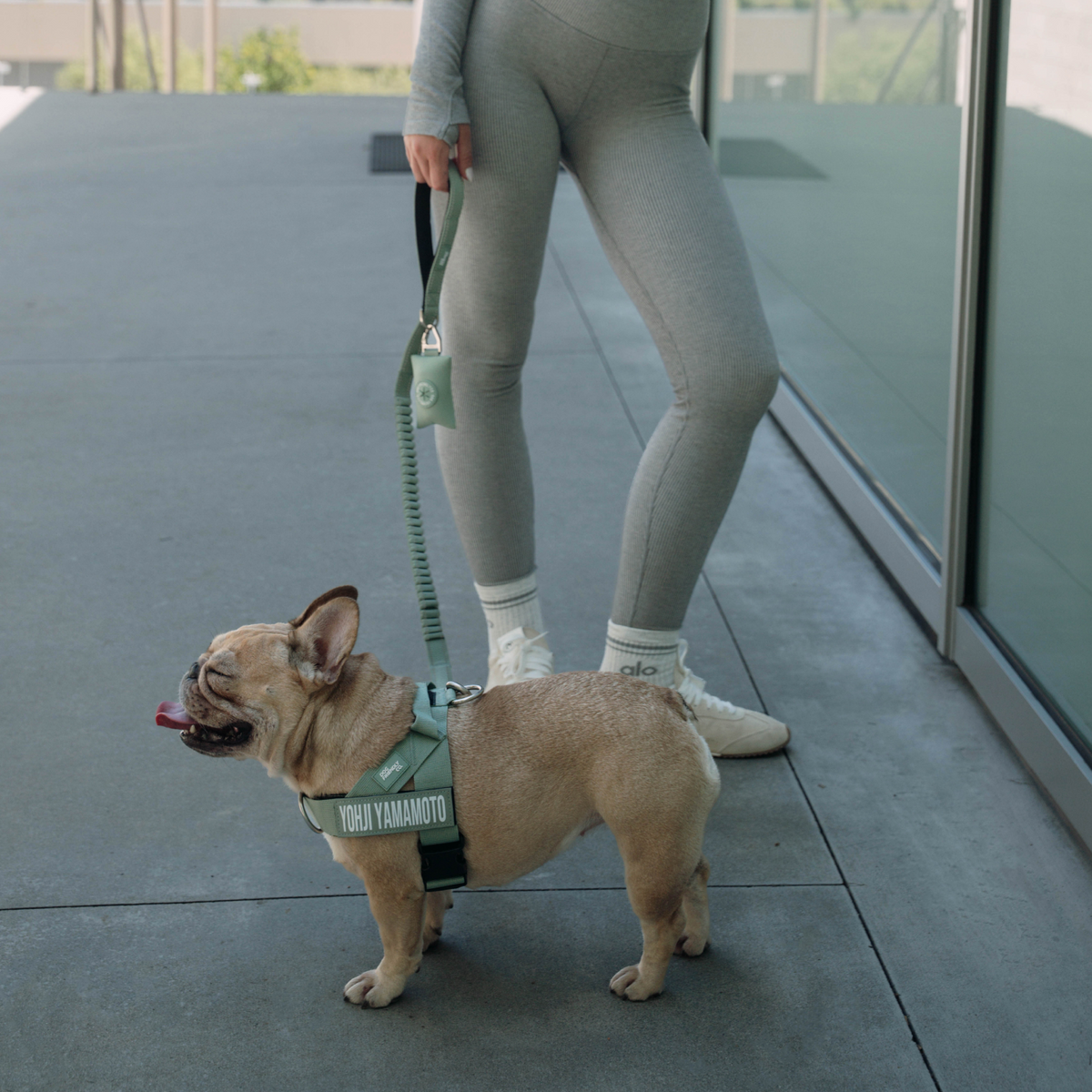 Khaki poop bag holder clipped to a dog leash during a walk