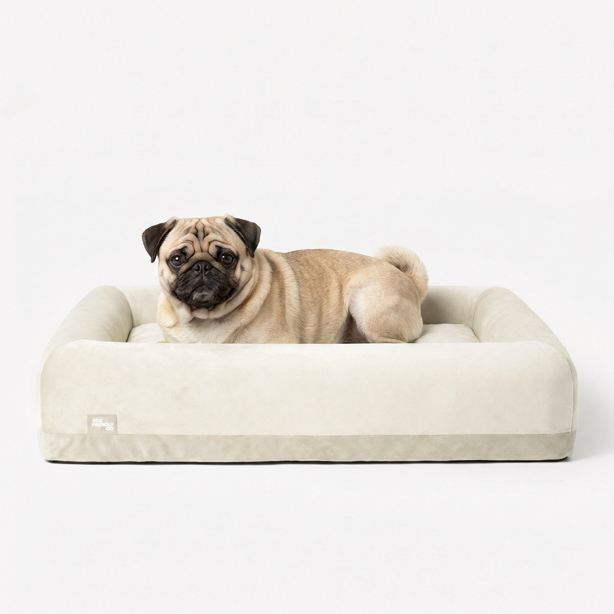 Dog resting comfortably on a beige-covered dog bed.