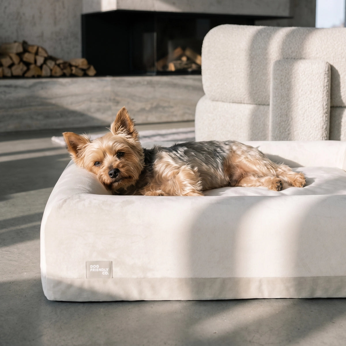 Dog lying on a beige dog bed in a home setting.