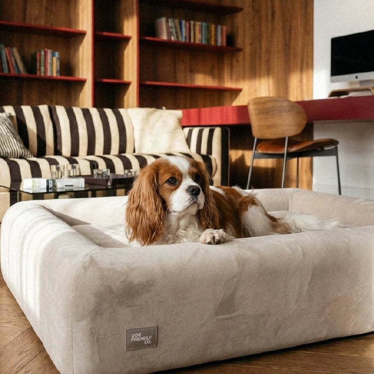 Velvet Easy Fit Dog Bed Cover - Beige