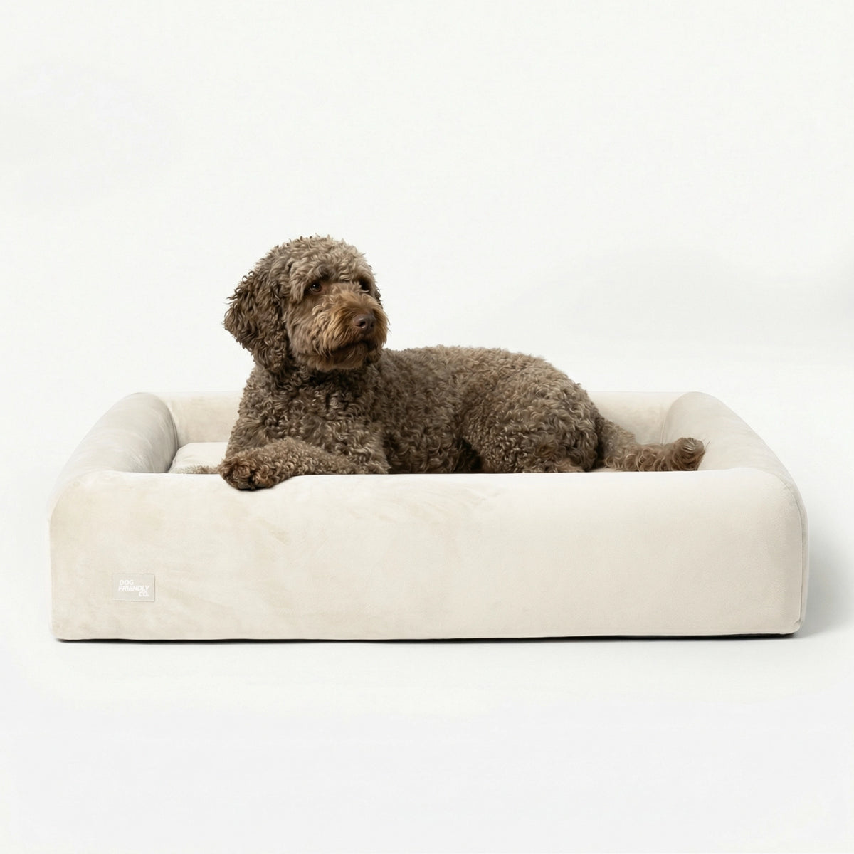 Orthopädisches Hundebett