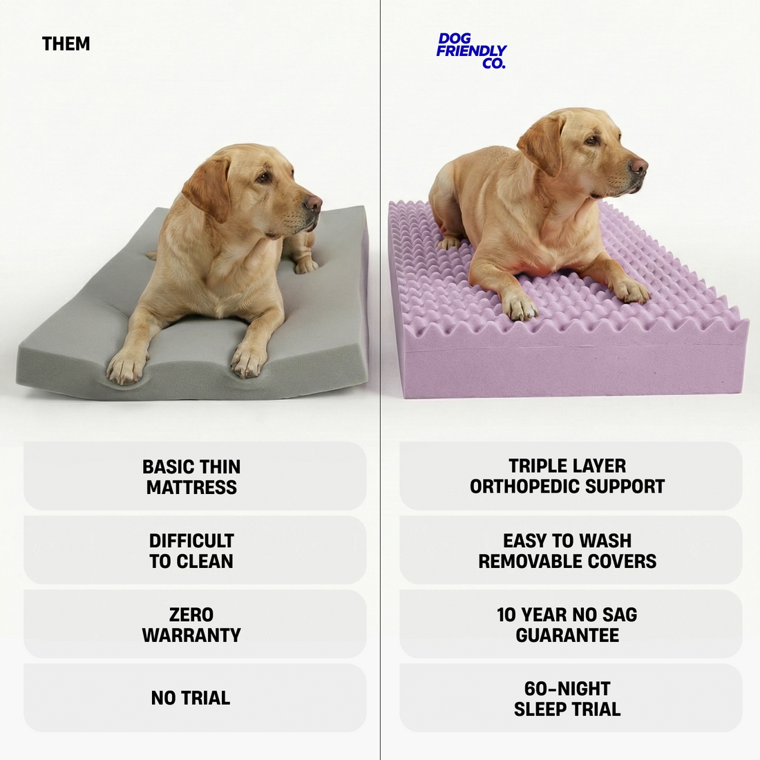 Premium Orthopedic Memory Foam Dog Bed - Charcoal