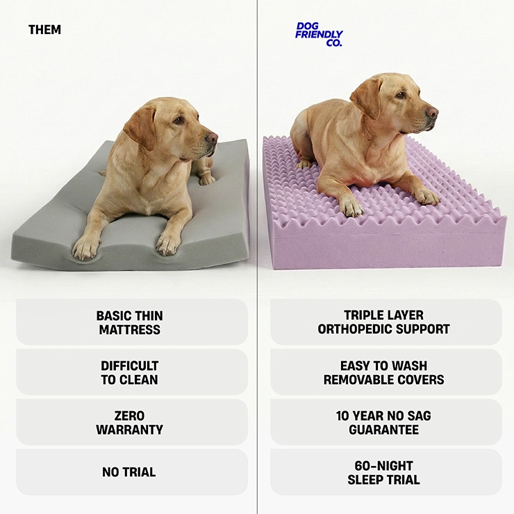 Premium Orthopedic Memory Foam Dog Bed - Charcoal (Small)