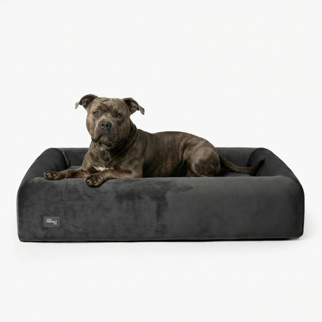 Premium Orthopedic Memory Foam Dog Bed - Charcoal