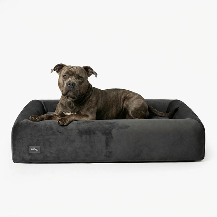 A charcoal orthopedic dog bed with a brown dog resting in it