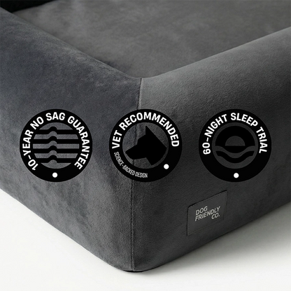 Premium Orthopädisches Memory-Schaum Hundebett - Anthrazit (Medium)