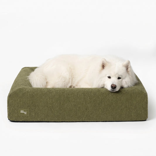 Premium Orthopedic Memory Foam Dog Bed - Green Bouclé