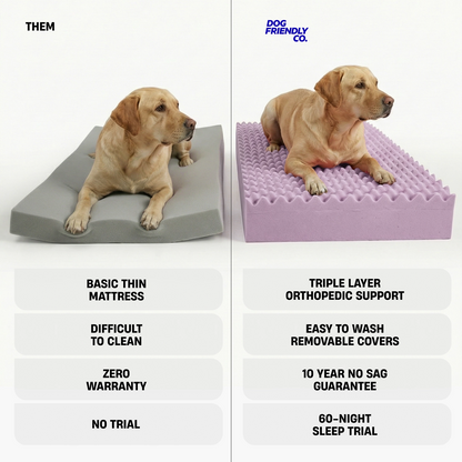 Premium Orthopedic Memory Foam Dog Bed - Grey Bouclé