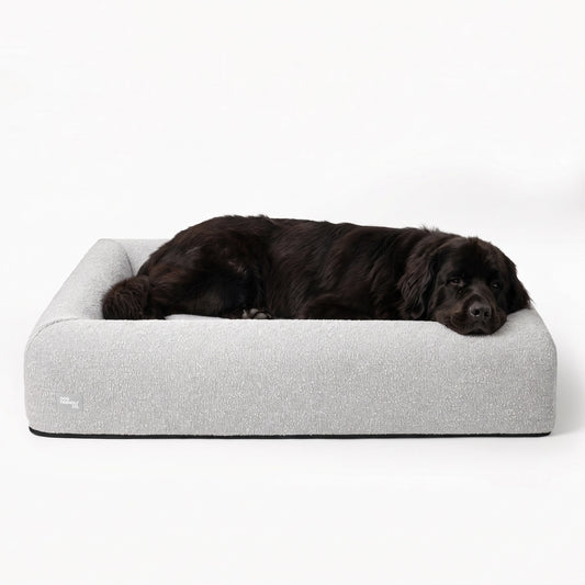 Premium Orthopedic Memory Foam Dog Bed - Grey Bouclé