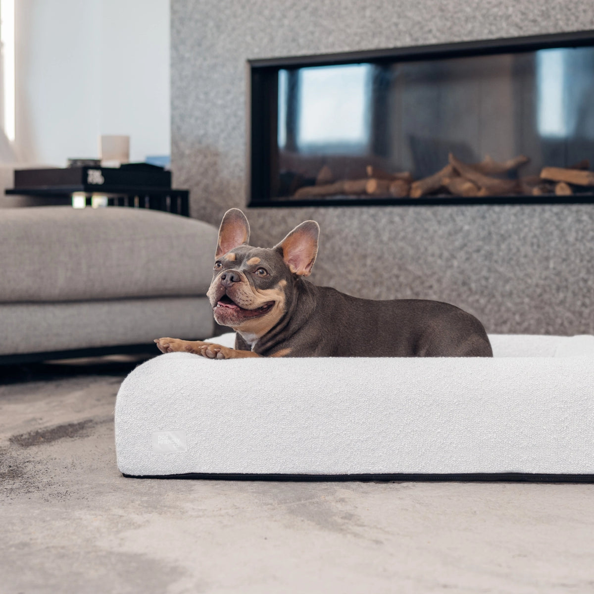 Premium Orthopedic Memory Foam Dog Bed - Grey Bouclé